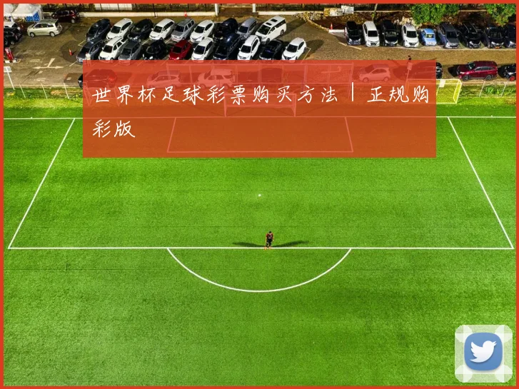 世界杯足球彩票购买方法｜正规购彩版