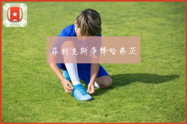 菲利克斯争锋哈弗茨