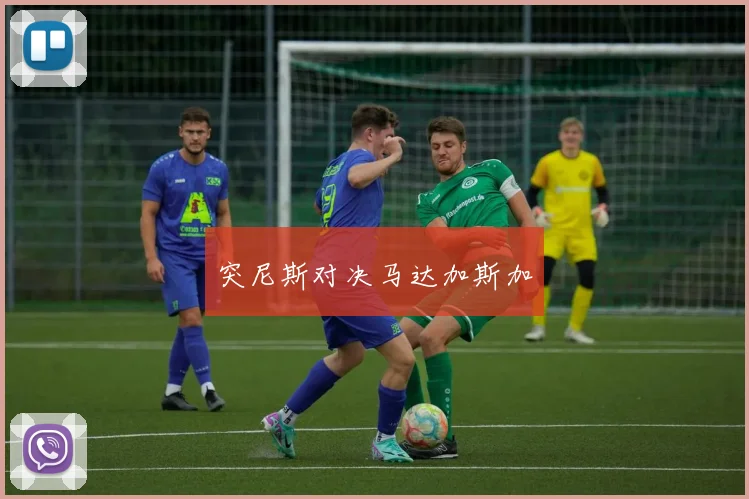 突尼斯对决马达加斯加