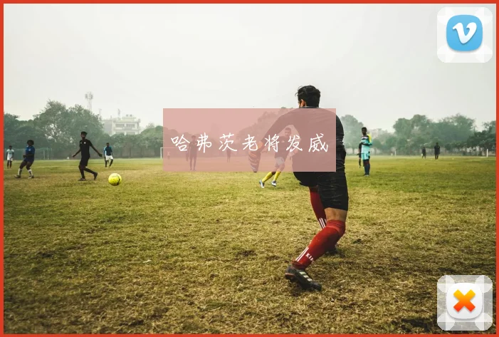 哈弗茨老将发威