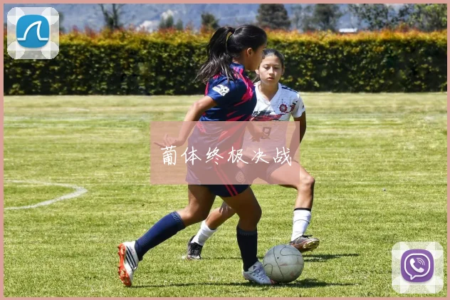 葡体终极决战