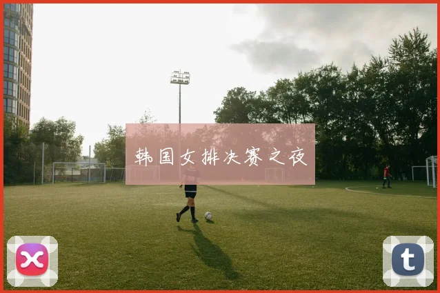 韩国女排决赛之夜