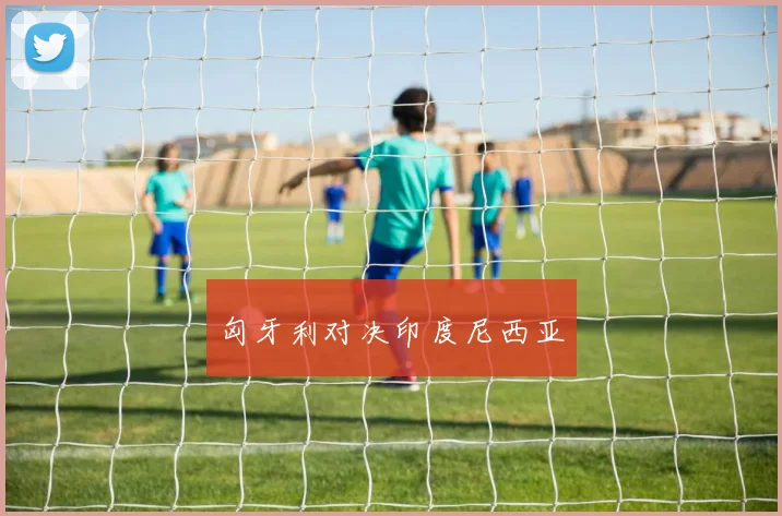 匈牙利对决印度尼西亚