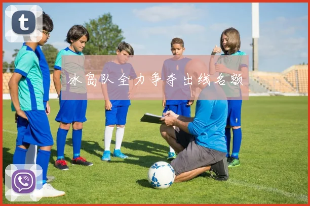 冰岛队全力争夺出线名额