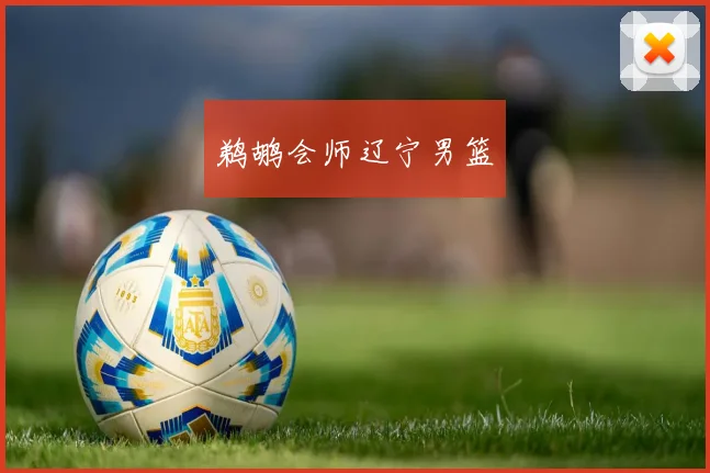 鹈鹕会师辽宁男篮