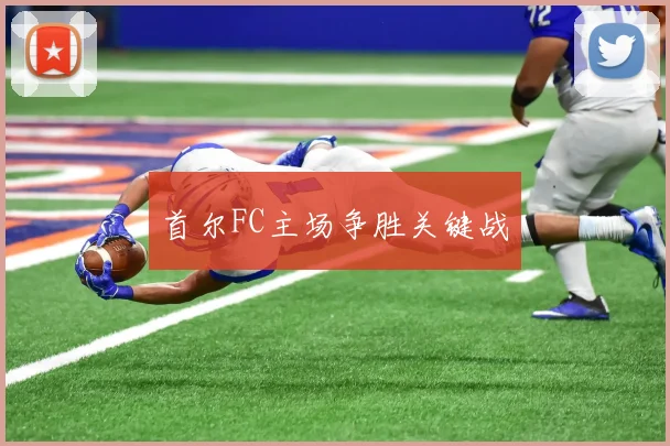 首尔FC主场争胜关键战
