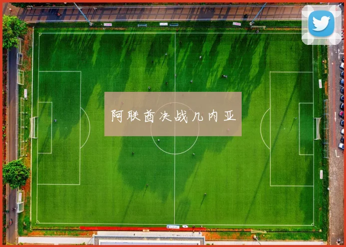 阿联酋决战几内亚