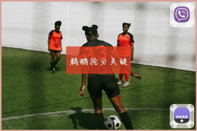鹈鹕抢分关键