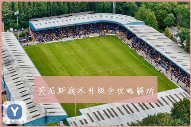 突尼斯战术升级全攻略解析