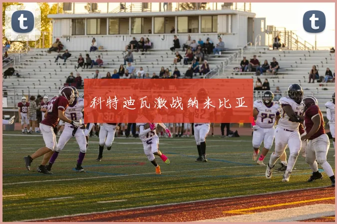 科特迪瓦激战纳米比亚