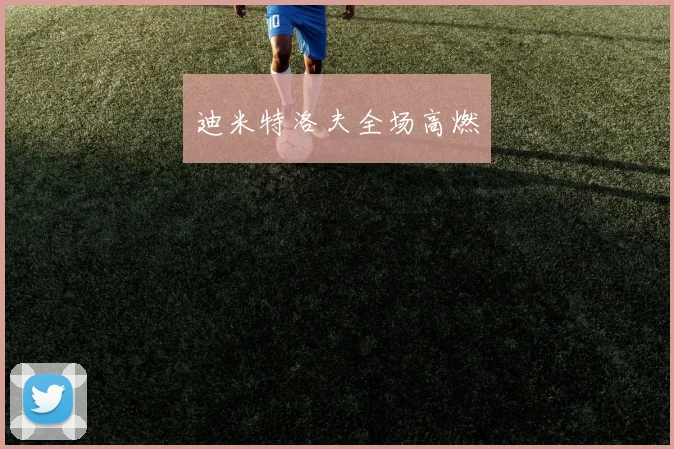迪米特洛夫全场高燃