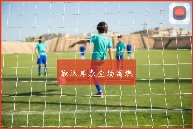 勒沃库森全场高燃