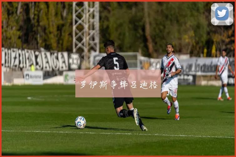 罗伊斯争锋吕迪格