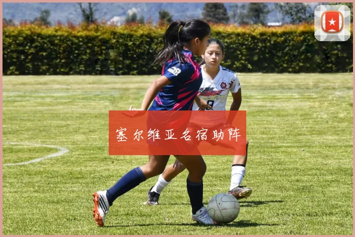 塞尔维亚名宿助阵