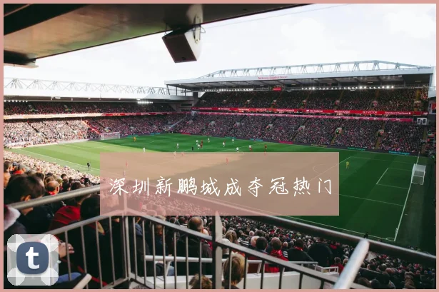 深圳新鹏城成夺冠热门