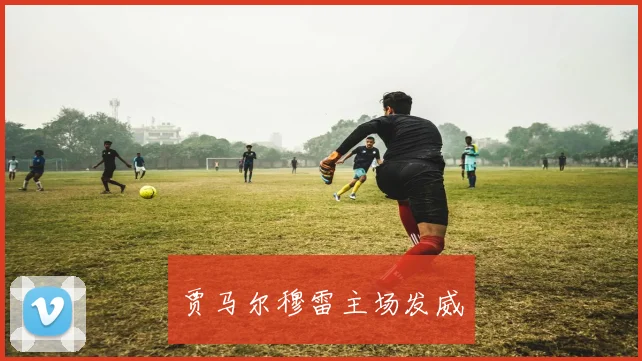 贾马尔穆雷主场发威