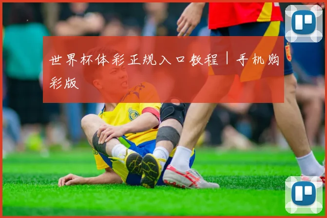 世界杯体彩正规入口教程｜手机购彩版