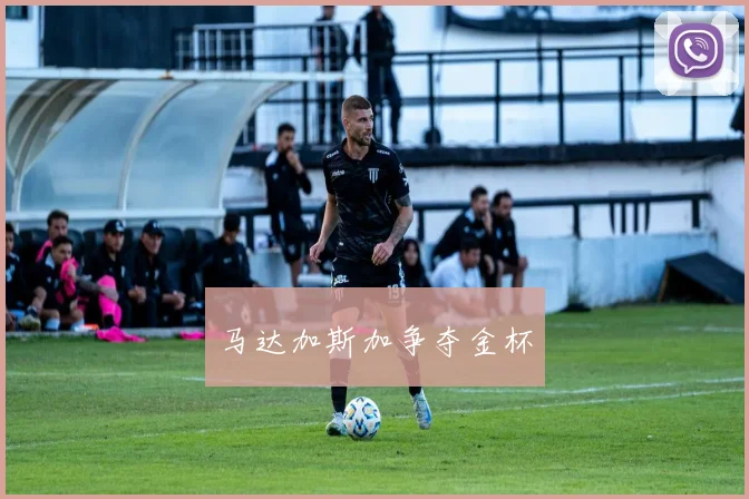 马达加斯加争夺金杯