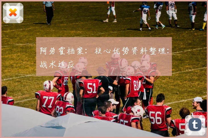 阿劳霍档案：核心优势资料整理：战术适应