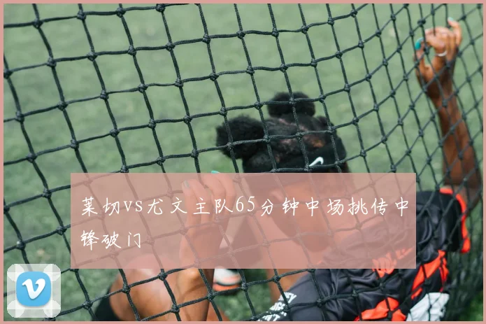 莱切vs尤文主队65分钟中场挑传中锋破门