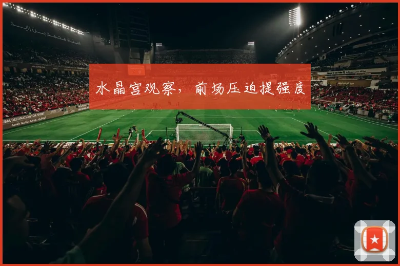 水晶宫观察，前场压迫提强度