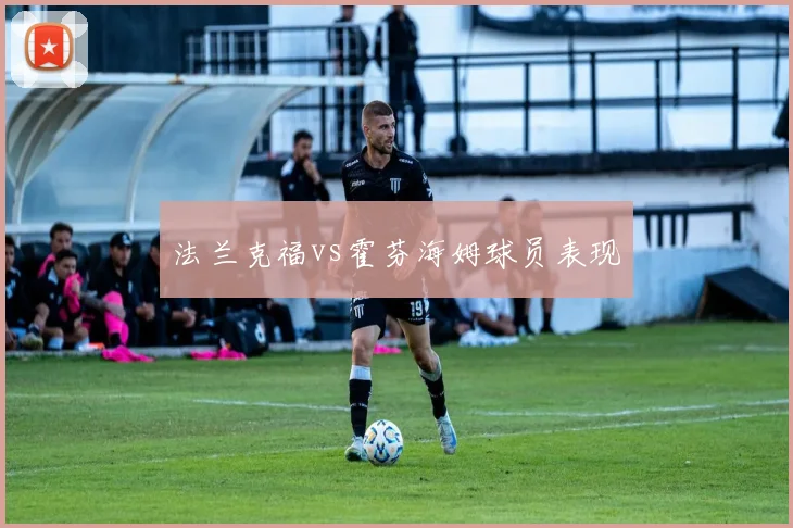 法兰克福vs霍芬海姆球员表现